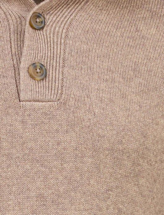 Born with Appetite Sutton half button bruin wol