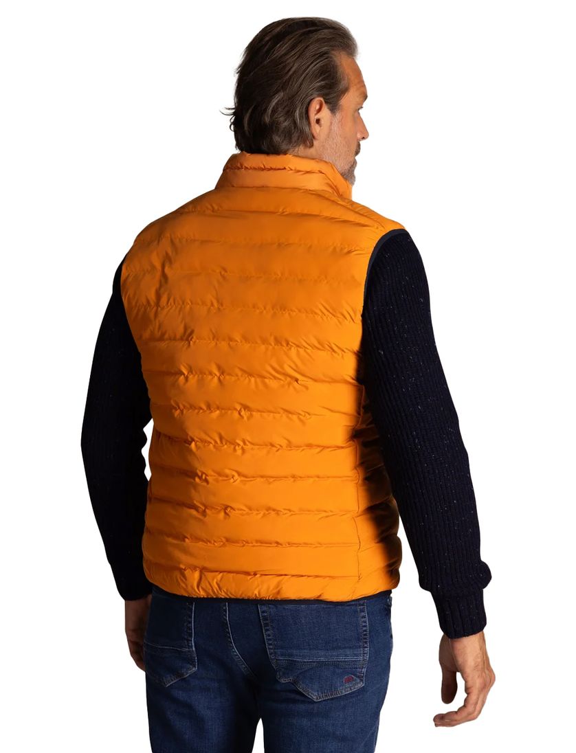 Bodywarmer effen oranje New Zealand normale fit