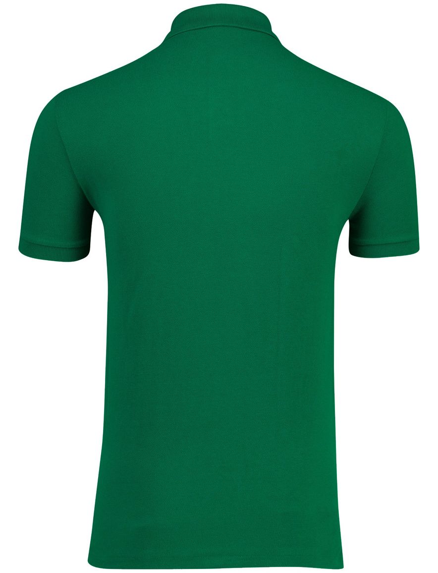 Polo Ralph Lauren groen poloshirt met rood paardje