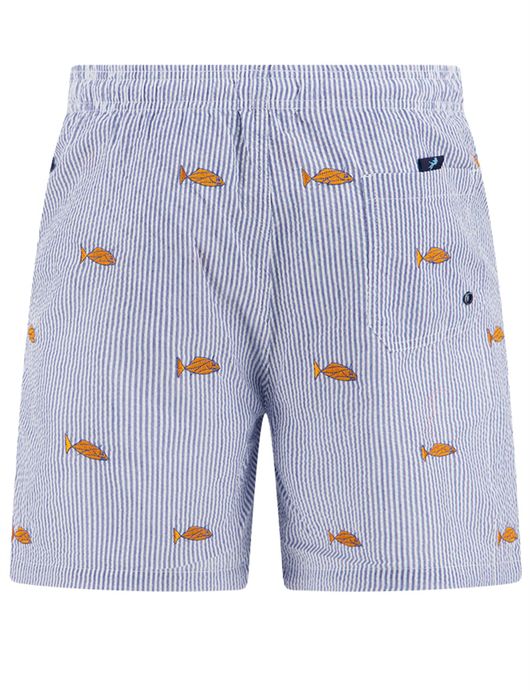 A Fish Named Fred zwembroek kobaltblauw vissen