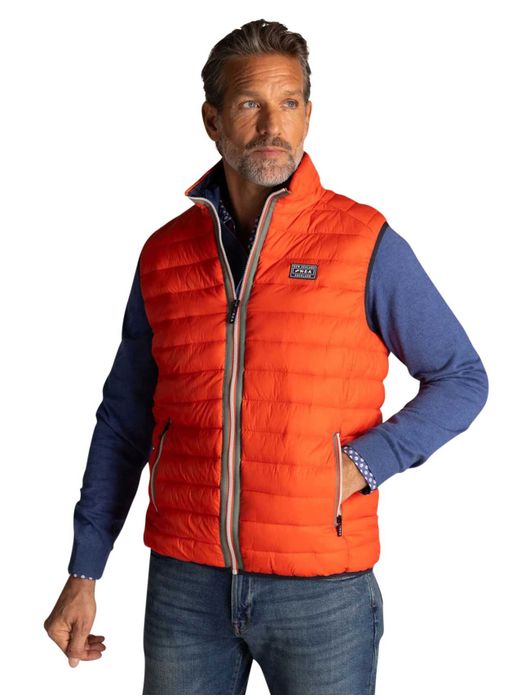 NZA Bodywarmer oranje gewatteerd