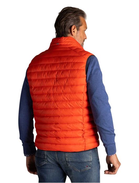 NZA Bodywarmer oranje gewatteerd