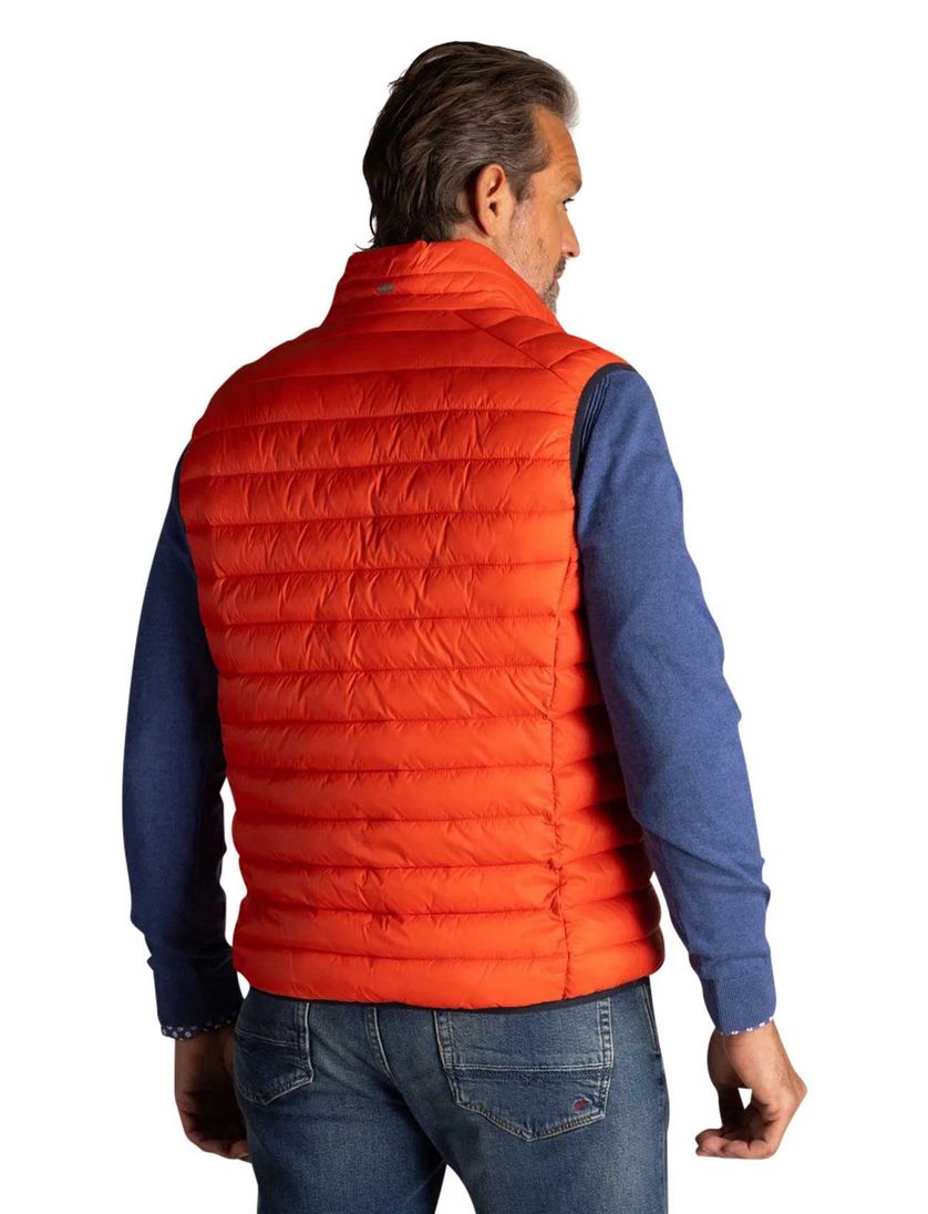 Oranje bodywarmer New Zealand waterafstotend en gewatteerd