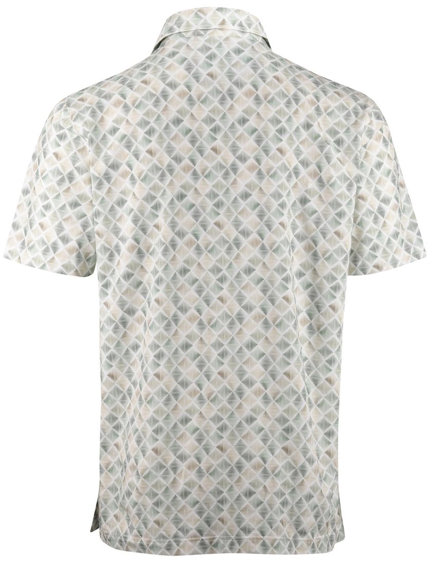 Poloshirt Eden Valley groen geprint ruit normale fit