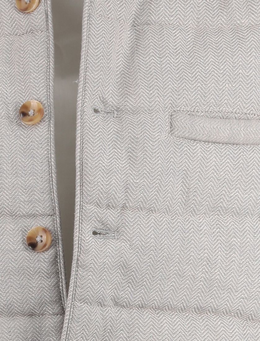 bodywarmer Born with Appetite grijs normale fit