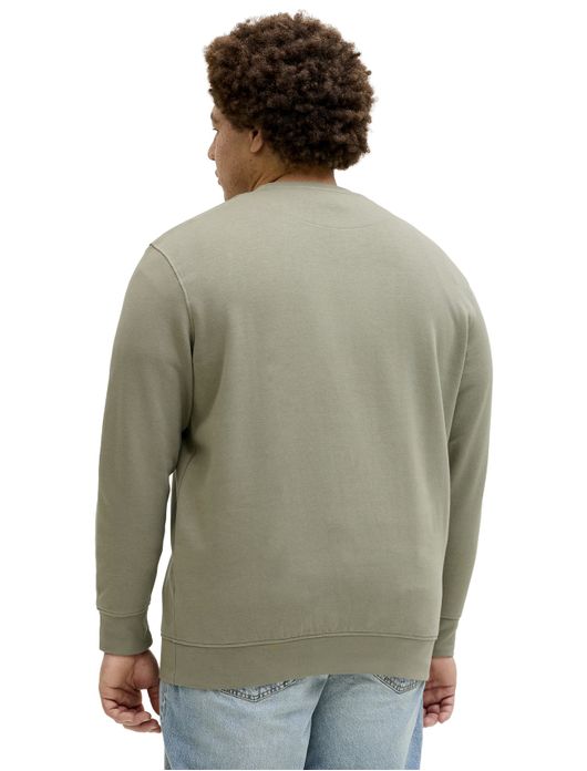 Plus size Jack & Jones sweater groen ronde hals