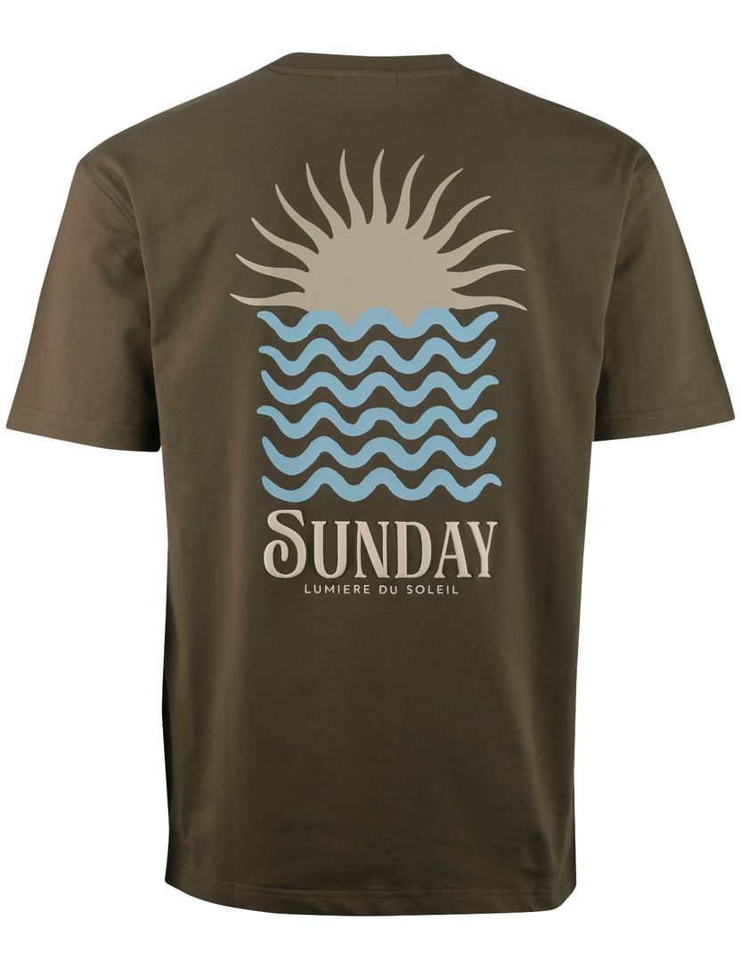 T-shirt Supply & Co bruin backprint zon met blauwe golven