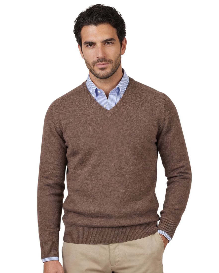 Alan Paine lamswol trui v-hals bruin