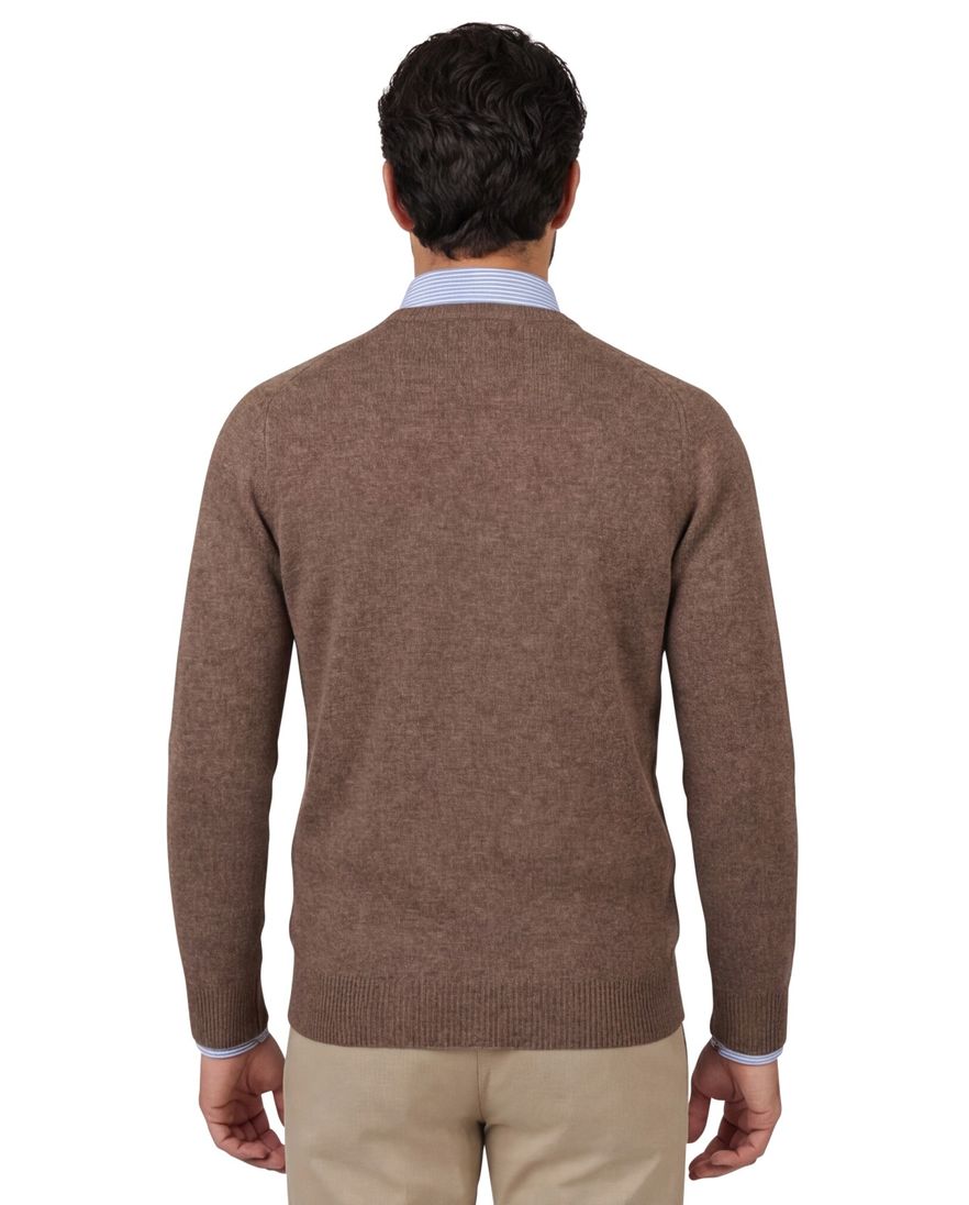 Alan Paine lamswol trui v-hals bruin