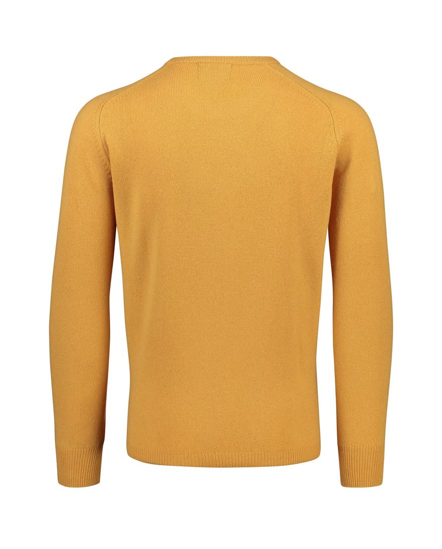 Alan Paine trui ronde hals geel