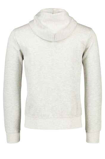 Ralph Lauren sweater vest capuchon grijs