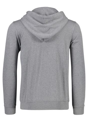 Paul & Shark hooded sweater logo print grijs
