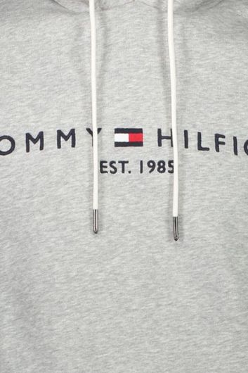 Sweater Tommy Hilfiger Big & Tall grijs met opdruk